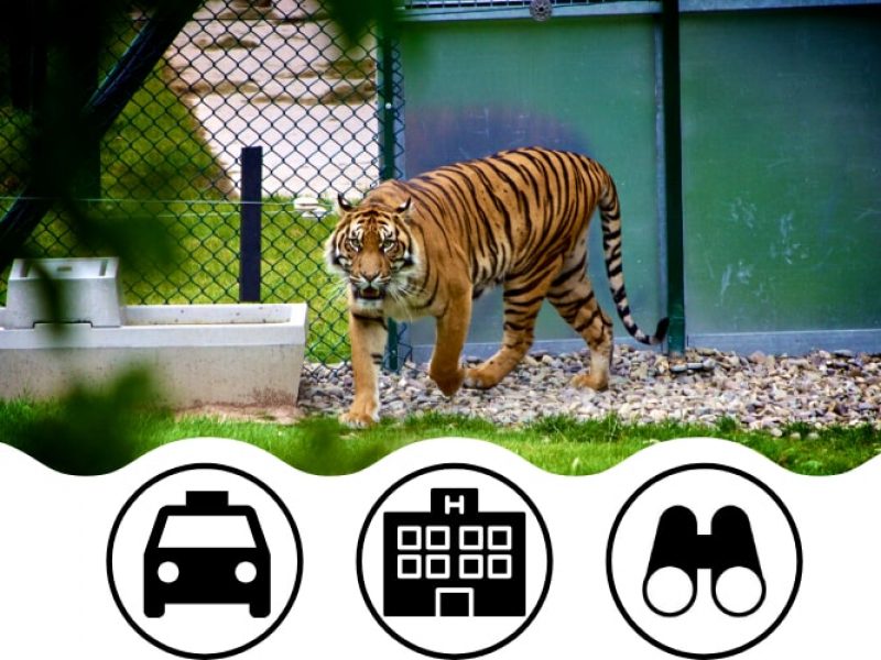 Deluxe Tour Package Jim Corbett from Delhi