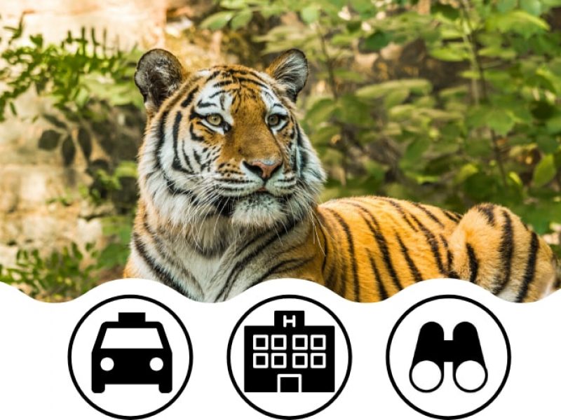 Jim Corbett Deluxe Tour Package From Delhi