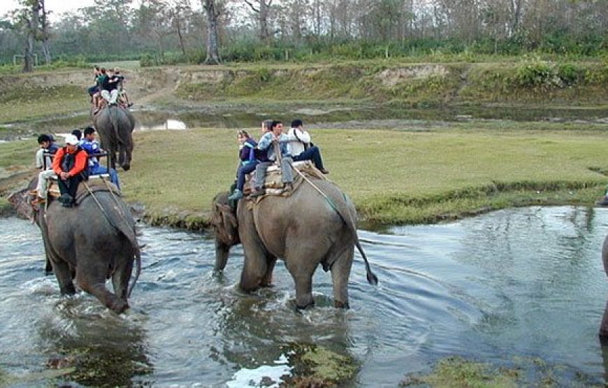 Jim Corbett Budget Tour Package From Delhi