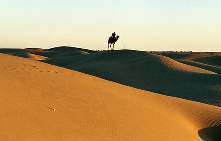 Royal Heritage Tour of Jaisalmer