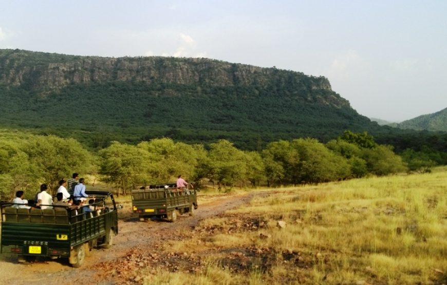 Jaipur Ranthambore Tour