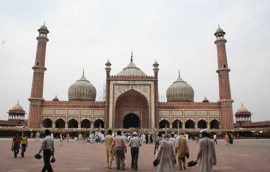 Famous Temple Tour Delhi In Private Car