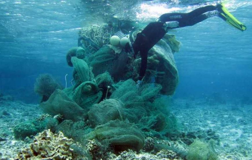 Coral Island(Koh Larn) Speed boat Full Day tour from pattaya